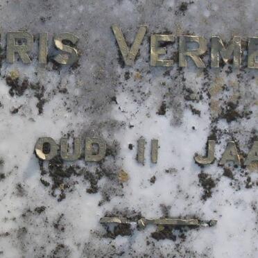 VERMEULEN Chris
