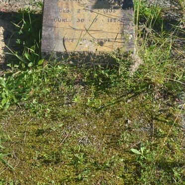 ERWEE Johan 1903-19??