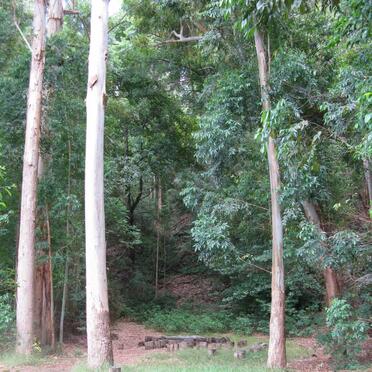 2. Overview