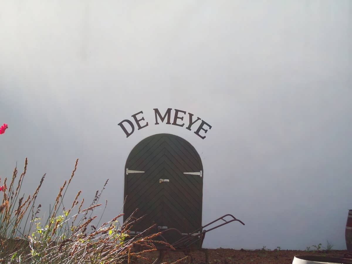 2. De Meye