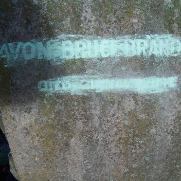 BRAND Avon Bruce -1914