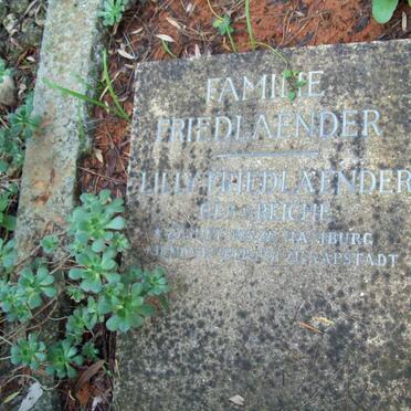 FRIEDLAENDER Lilly nee REICHE 1885-1931