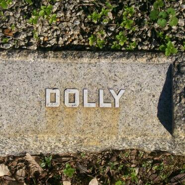 ? Dolly