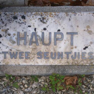 HAUPT twin boys