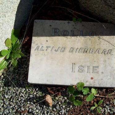 KRIGE Jacob Daniel 1845-1919 &amp; Susanna Johanna SCHABORT 1848-1933 :: KRIGE Rollo 1888-1912