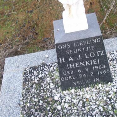 LOTZ H.A. 1964-1965