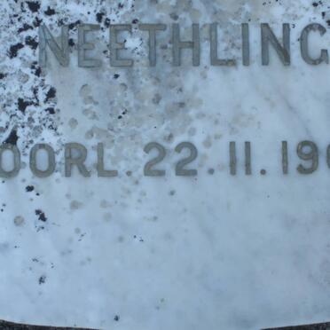 NEETHLING -1966