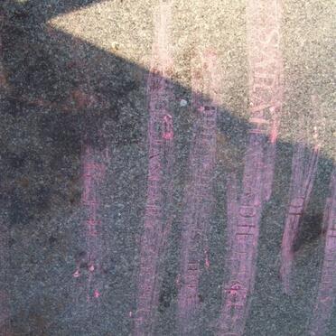 RITSON David W. 18??-?? :: RITSON Sarah 1893-1941 :: RITSON Kenneth 18?8-1975_2