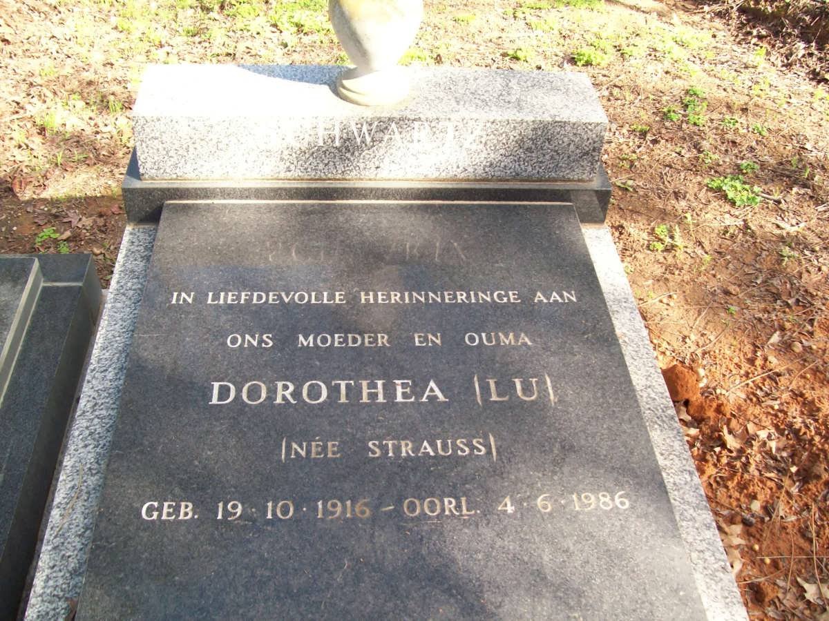 SCHWARTZ Dorothea nee STRAUSS 1916-1986