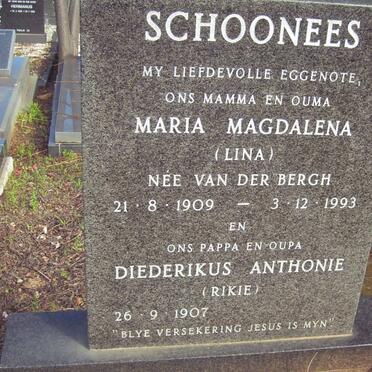 SCHOONEES Diederikus Anthonie 1907- &amp; Maria Magdalena VAN DER BERGH 1909-1993