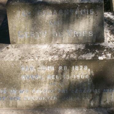 VRIES Gerty, de 1873-1900