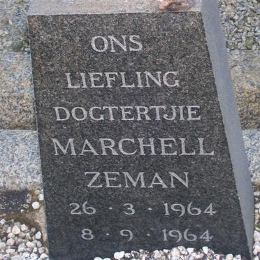 ZEMAN Marchell 1964-1964