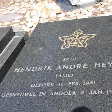 HEYNS Hendrik Andre 1961-1984