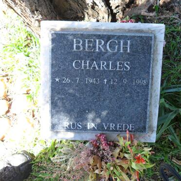 BERGH Charles 1943-1998