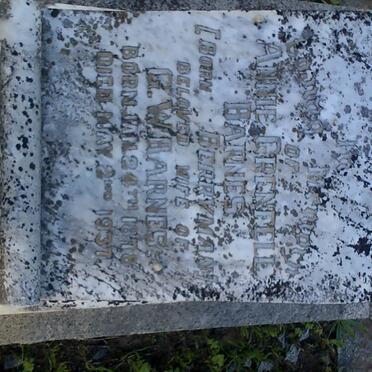 BARNES Annie Grenfell born BERRYMAN 1878-1937