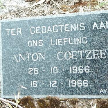 COETZEE Anton 1966-1966