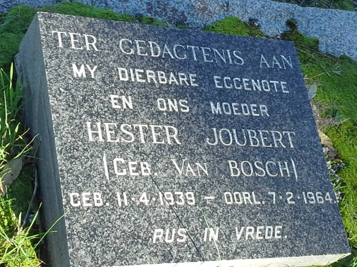 JOUBERT Hester nee VAN BOSCH 1939-1964