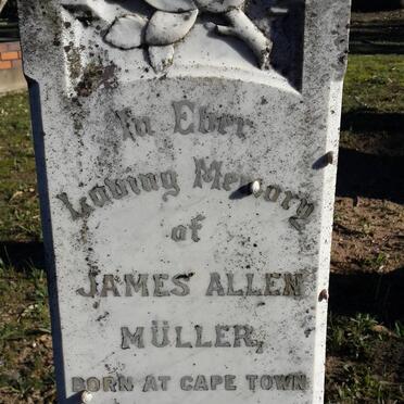 MULLER James Allen 1847-1930