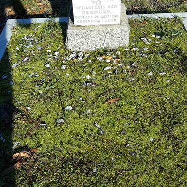 STRAUSS Desmond -1930