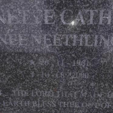 CATHRO Anette nee NEETHLING 1961-2000