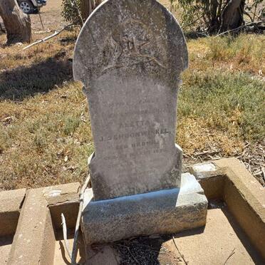 SCHOONWINKEL Aletta J. nee BRONN 1855-1929_02