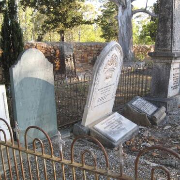 MOULTON :: HIGGO :: HOLM