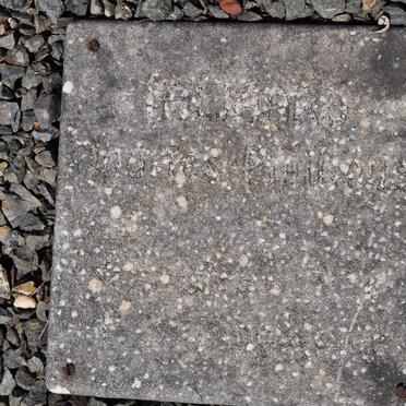 TALJAARD ? Phillipus 