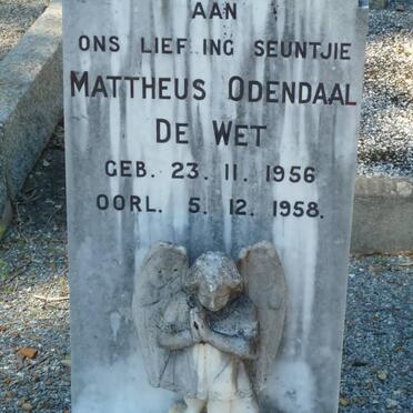 WET Mattheus Odendaal, de 1956-1958
