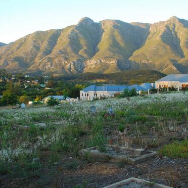 4. Oorsig oor die begraafplaas by Swellendam