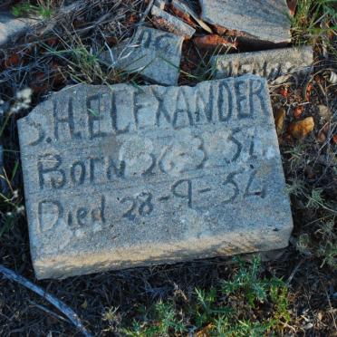 ELEXANDER S.H. 195?-1954