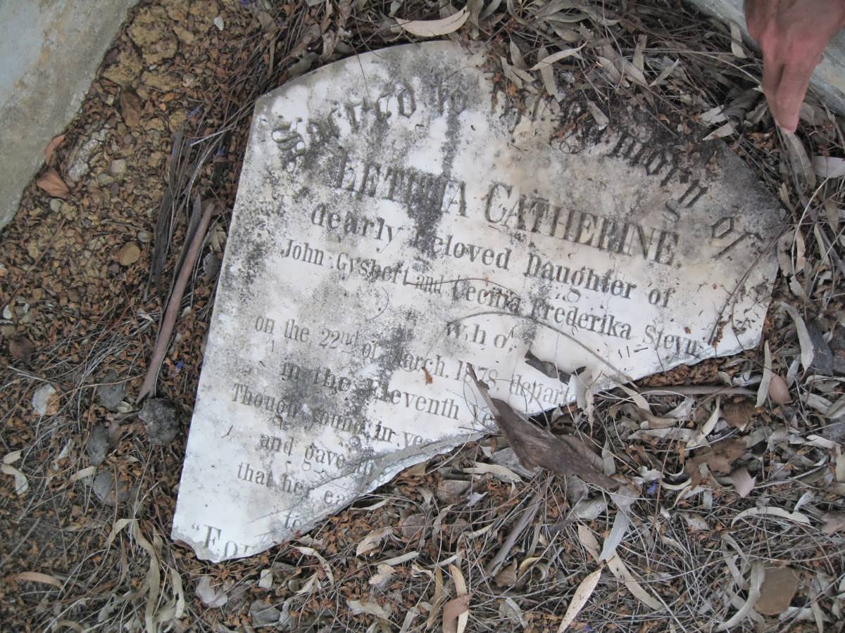 STEYN L. Catherine 1878-