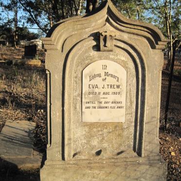 TREW Eva J. -1909