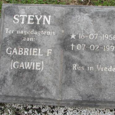 STEYN Gabriel F. 1956-1999