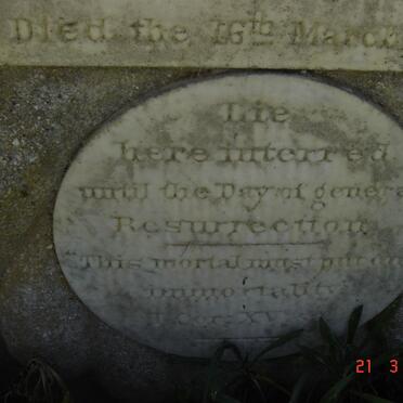 STEYN Marthinus Smalberger 1871-1874