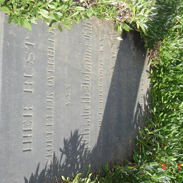 STEIJN Maria Elizabeth Johanna nee FALCK