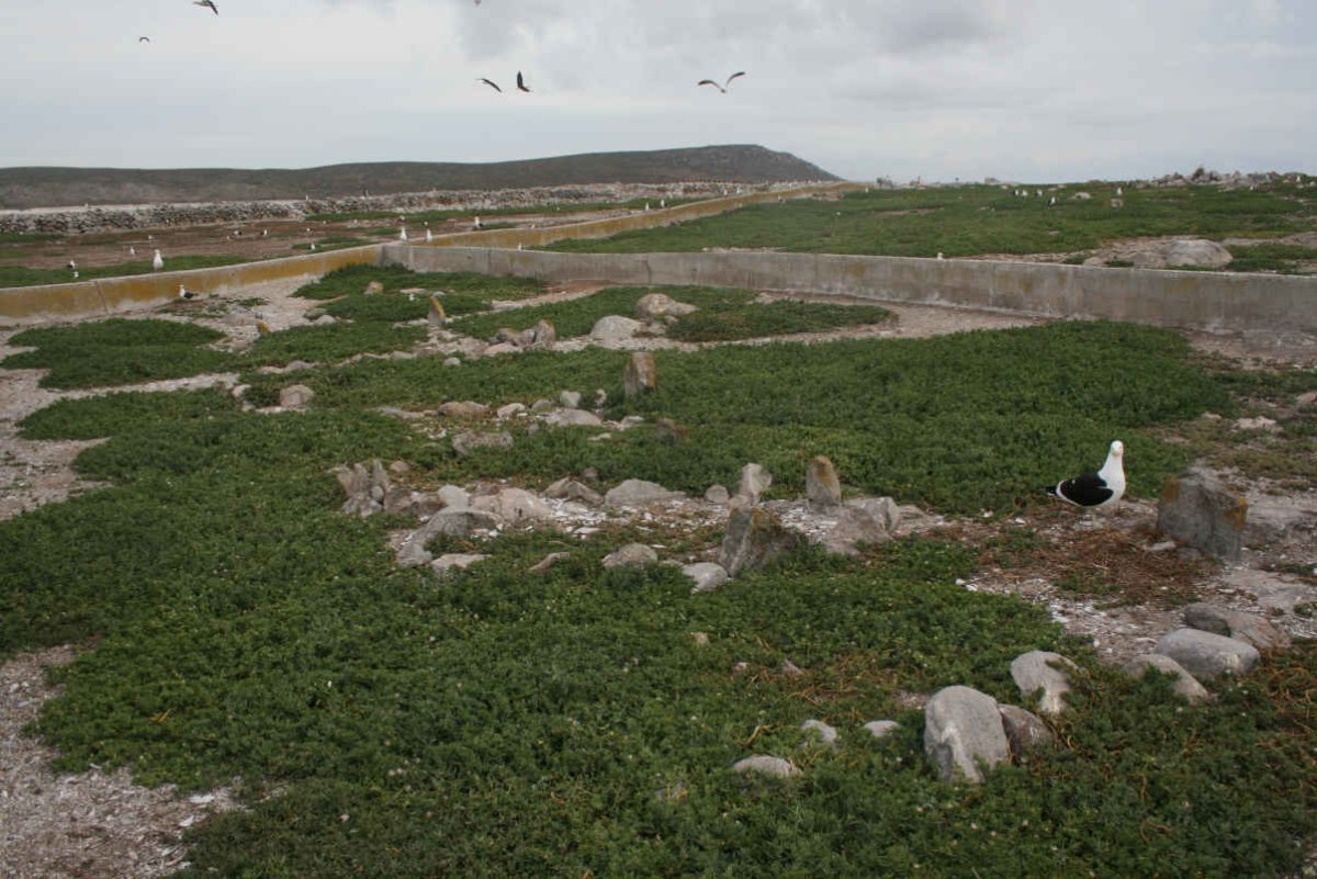 04. Cemetery