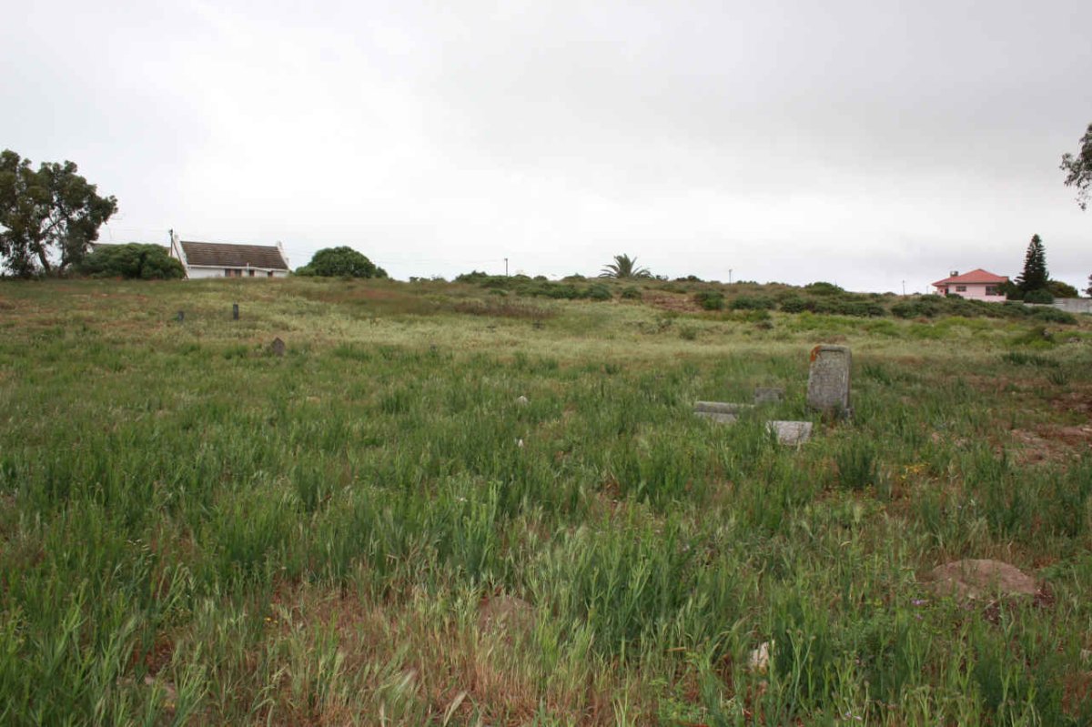 4. Overview
