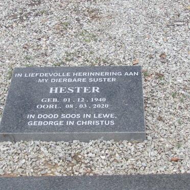 HORNE Johnnie 1910-1995 &amp; Girlie 1913-2013 :: HORNE Hester 1940-2020 