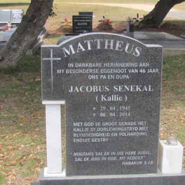 MATTHEUS Jacobus Senekal 1945-2014