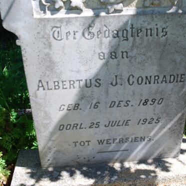 CONRADIE Albertus J. 1890-1925