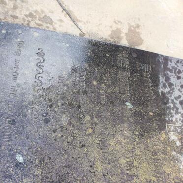 LUDWIG Britta Carolina, von nee REYNOLDS 1817-1875