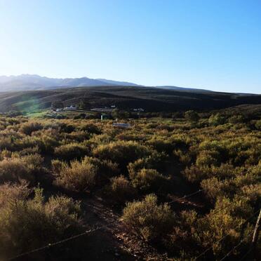 1. Oorsig / Overview