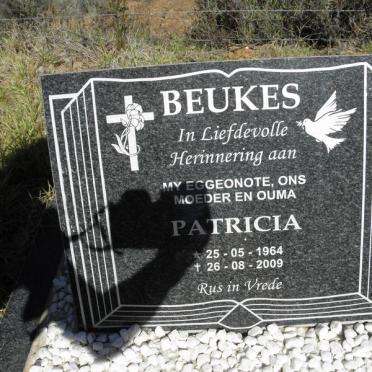 BEUKES Patricia 1964-2009