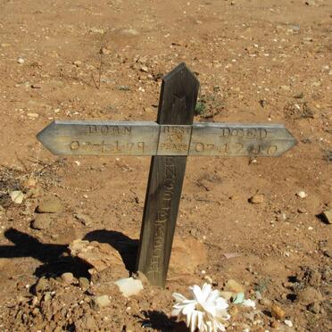 ENGELBRECHT  M. 1979-2010