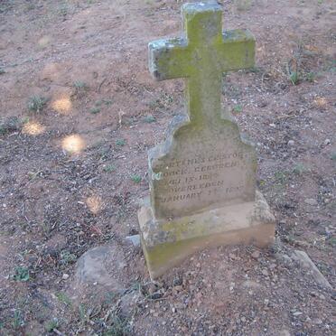 LOOCK Martenes Cristofel 1884-1898