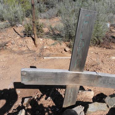 NOOR? Flora 1950-2009