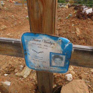 VAALTYN Hester 1945-2021