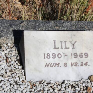 ? Lily 1890-1969