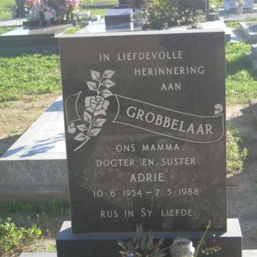 GROBBELAAR Adrie 1954-1988
