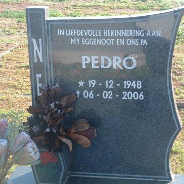 NEL Pedro 1948-2006